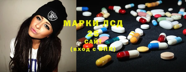 шишки Арсеньев