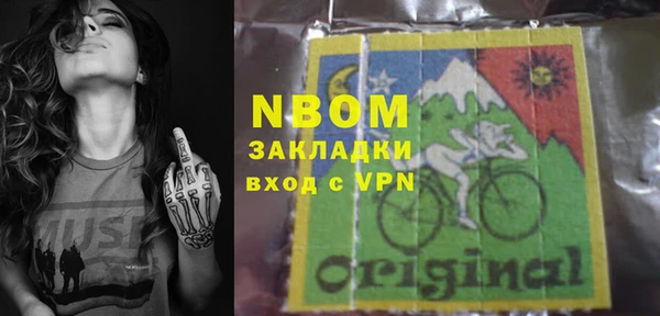 шишки Арсеньев