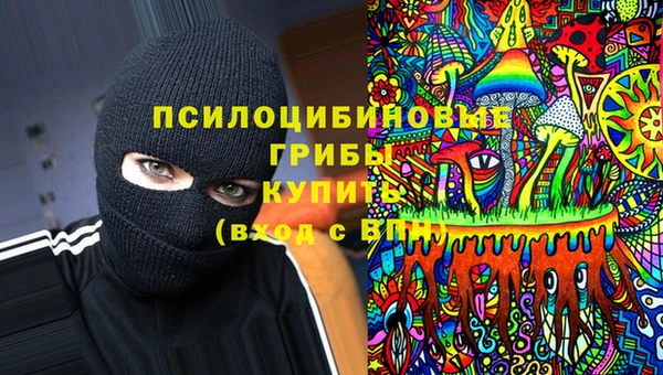мяу мяу мука Алексеевка