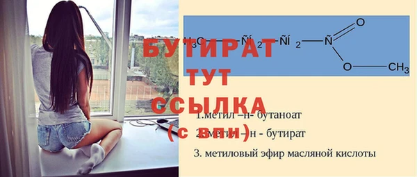 шишки Арсеньев