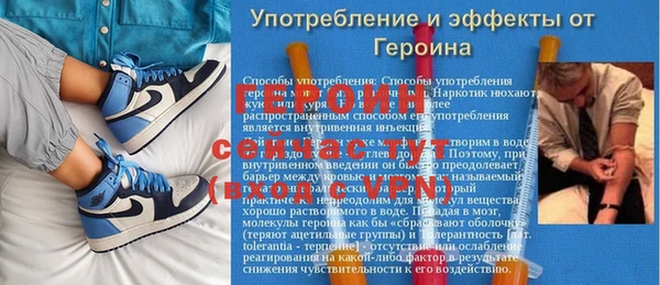 шишки Арсеньев