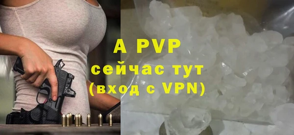 шишки Арсеньев