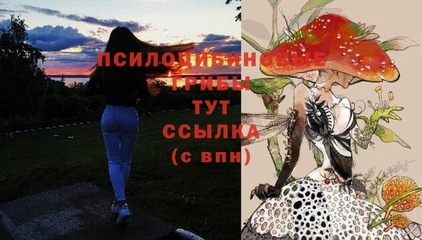 соль курить ск Алзамай
