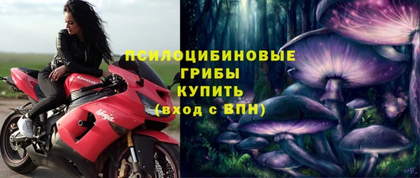 мяу мяу мука Алексеевка