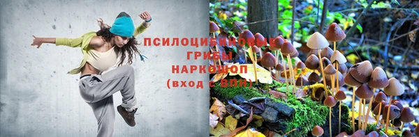 метадон Армянск