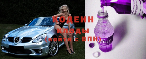 шишки Арсеньев