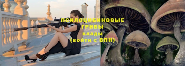 метадон Армянск
