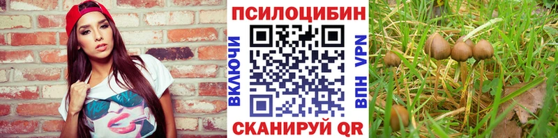 Галлюциногенные грибы мицелий  блэк спрут зеркало  darknet как зайти  цена   Лесосибирск 
